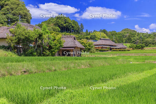 八塔寺ふるさと村 [MOP110103403]