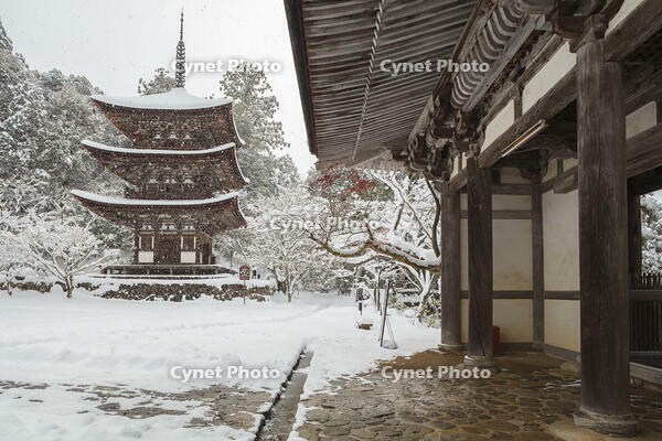 雪の西明寺　二天門と三重塔　湖東三山 [MOP110104298]