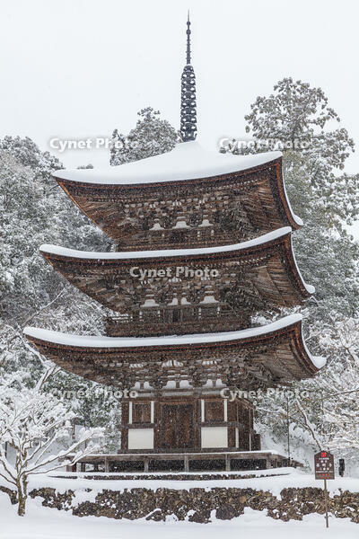 雪の西明寺　三重塔　湖東三山 [MOP110104300]
