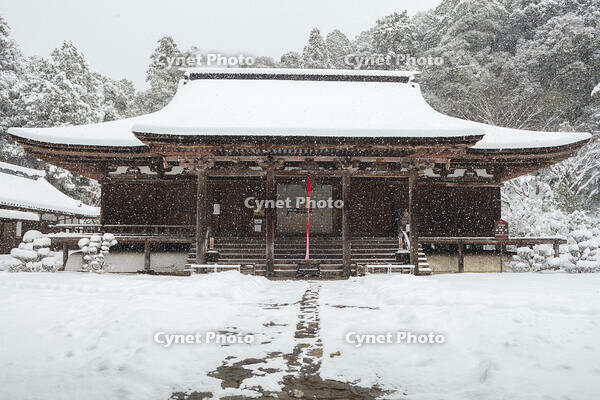 雪の西明寺　本堂　湖東三山 [MOP110104301]