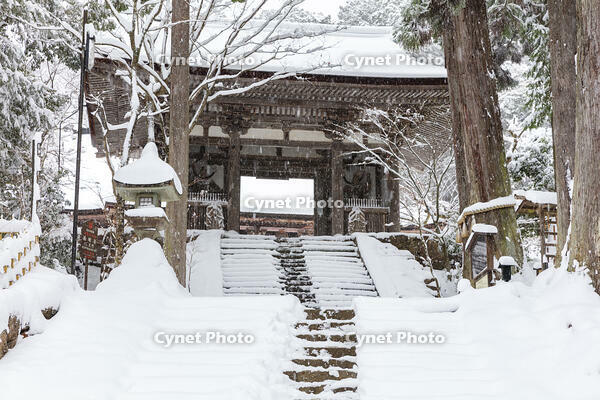 雪の西明寺　二天門　湖東三山 [MOP110104302]