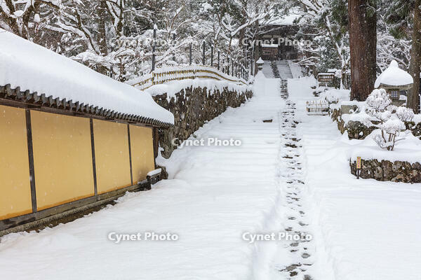 雪の西明寺　参道と二天門　湖東三山 [MOP110104303]