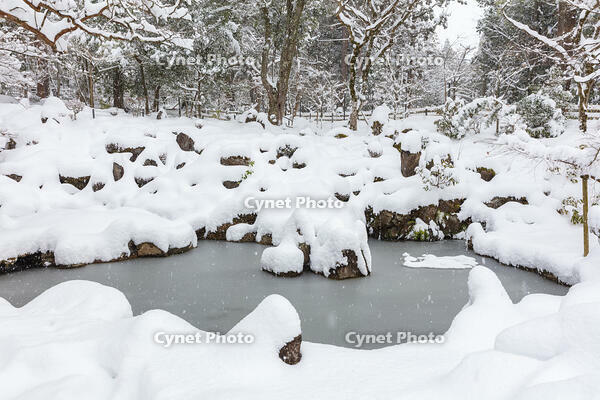 雪の西明寺　庭園　湖東三山 [MOP110104304]