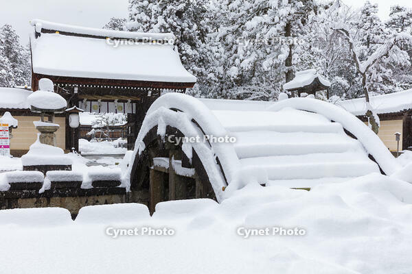 雪の多賀大社 [MOP110104305]