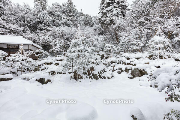 雪の青岸寺庭園 [MOP110104307]