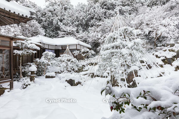 雪の青岸寺庭園 [MOP110104308]