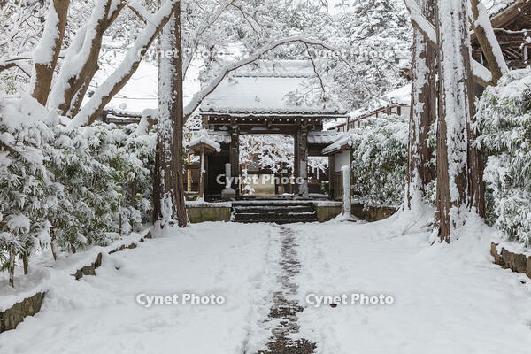 雪の青岸寺 [MOP110104309]