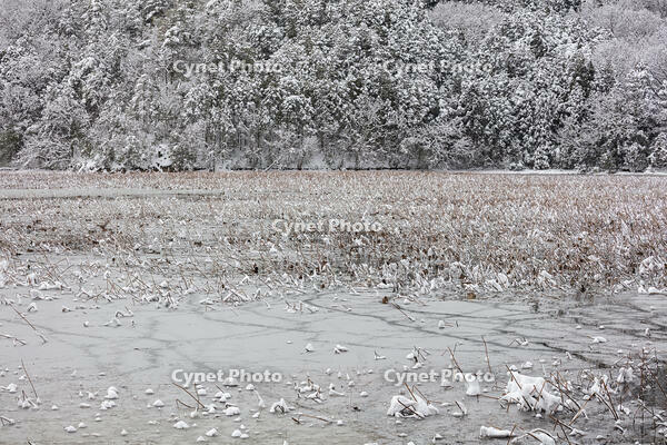 雪の西池 [MOP110104324]