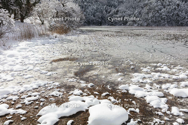 雪の西池 [MOP110104325]
