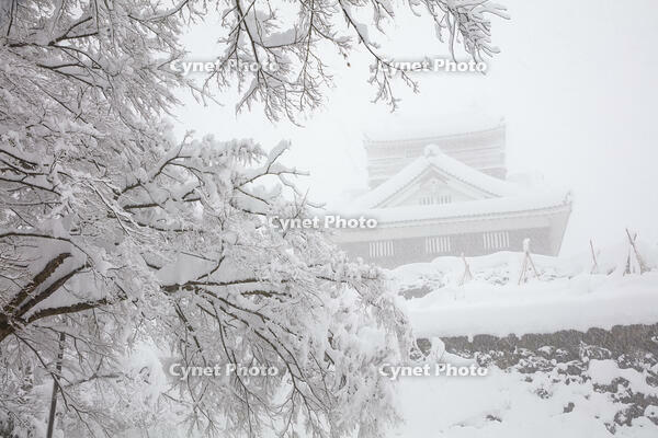 雪の越前大野城 [MOP110104328]