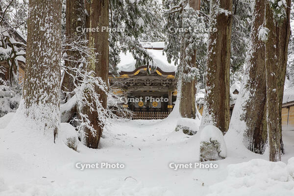 雪の永平寺　勅使門（唐門） [MOP110104329]