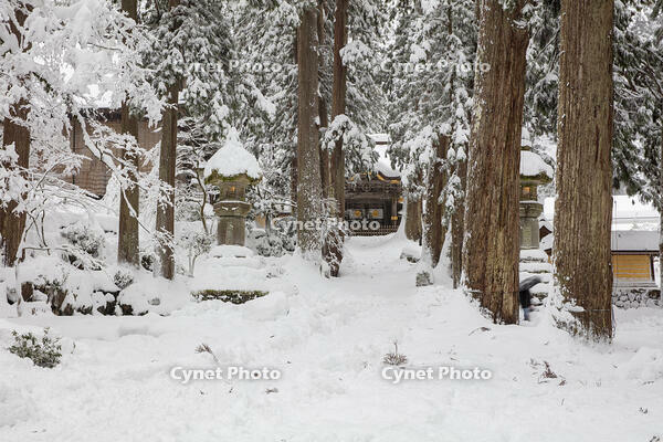 雪の永平寺　勅使門（唐門） [MOP110104330]