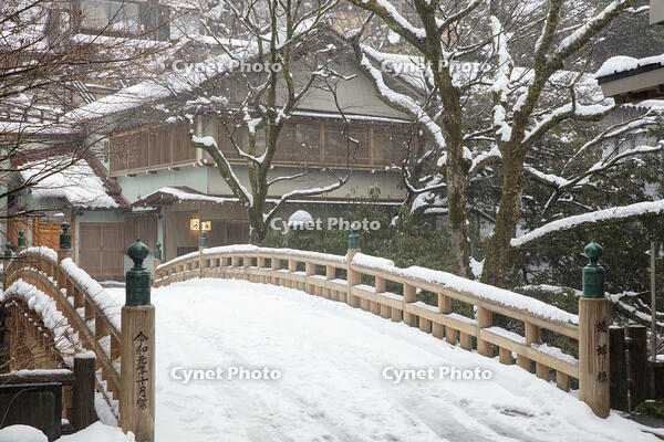 雪の鶴仙渓　こおろぎ橋 [MOP110104331]