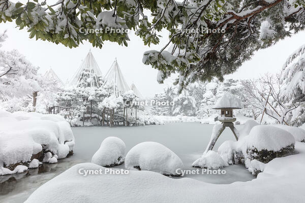 雪の兼六園　ことじ灯篭 [MOP110104334]