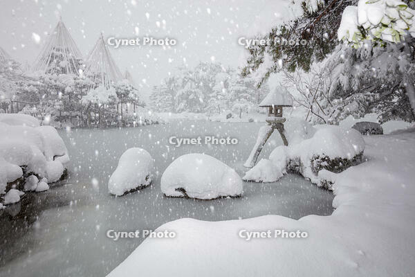 雪の兼六園　ことじ灯篭 [MOP110104335]