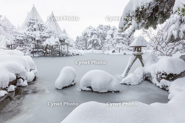 雪の兼六園　ことじ灯篭 [MOP110104336]
