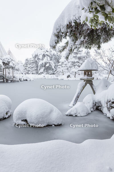 雪の兼六園　ことじ灯篭 [MOP110104337]