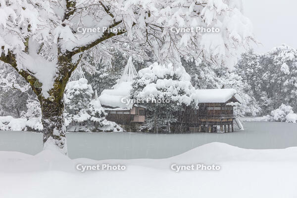 雪の兼六園　内橋亭 [MOP110104341]