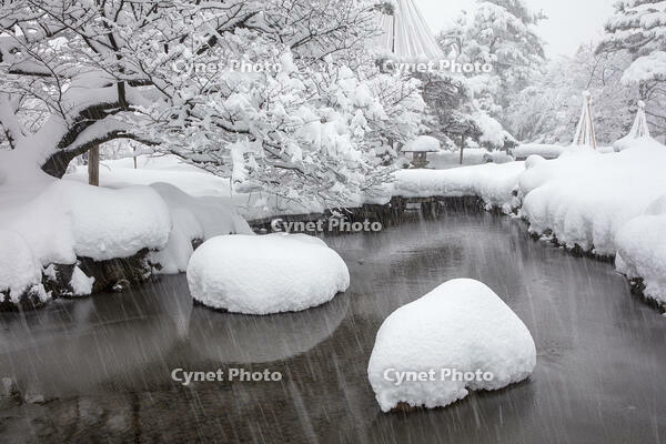 雪の兼六園 [MOP110104343]