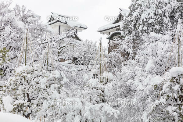 雪の金沢城公園　石川門 [MOP110104349]