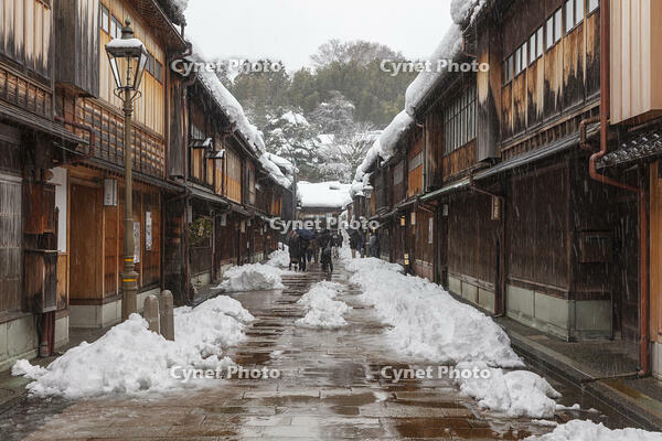 雪のひがし茶屋街 [MOP110104352]