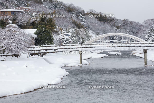 雪の浅野川 [MOP110104354]