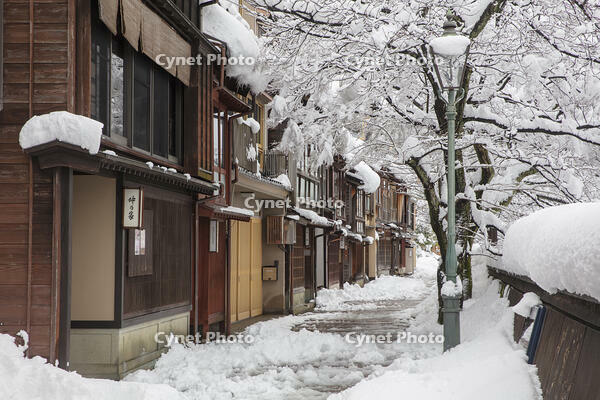 雪の主計町茶屋街 [MOP110104356]