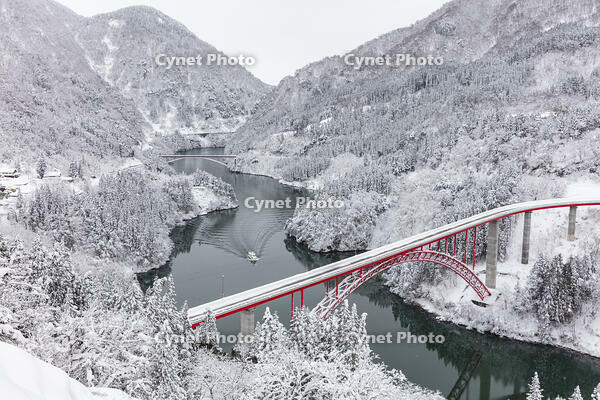 雪の庄川峡　庄川峡遊覧船と利賀大橋と長崎大橋 [MOP110104362]