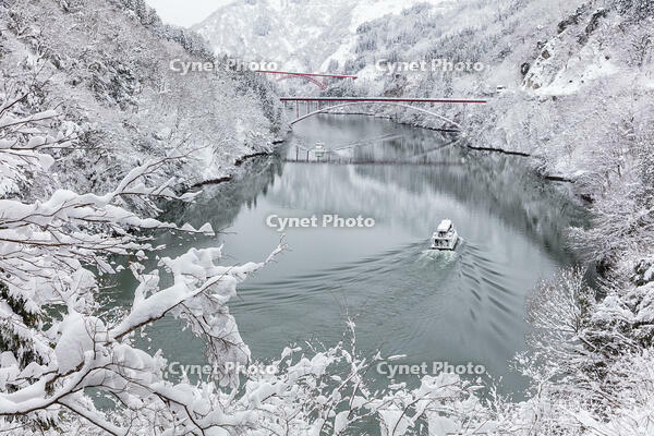 雪の庄川峡　庄川峡遊覧船と長崎大橋と利賀大橋 [MOP110104366]