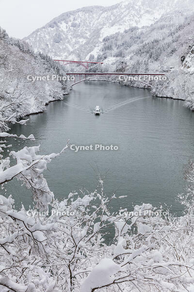 雪の庄川峡　庄川峡遊覧船と長崎大橋と利賀大橋 [MOP110104367]