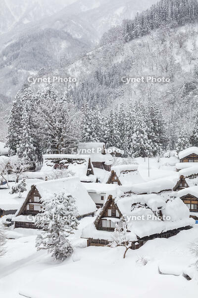 雪の相倉合掌造り集落 [MOP110104371]