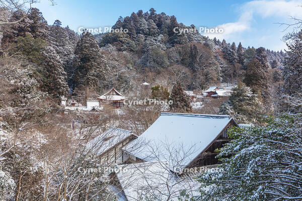 雪の談山神社　十三重塔 [MOP110104375]