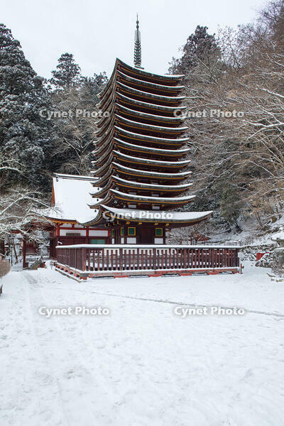 雪の談山神社　十三重塔 [MOP110104378]
