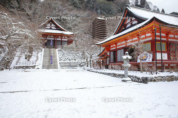 雪の談山神社　十三重塔 [MOP110104380]