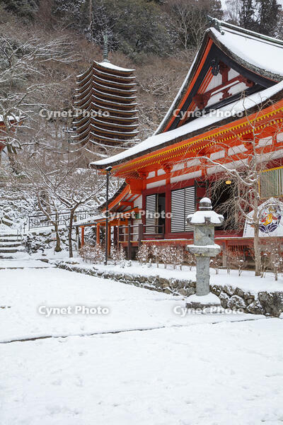 雪の談山神社　十三重塔 [MOP110104381]
