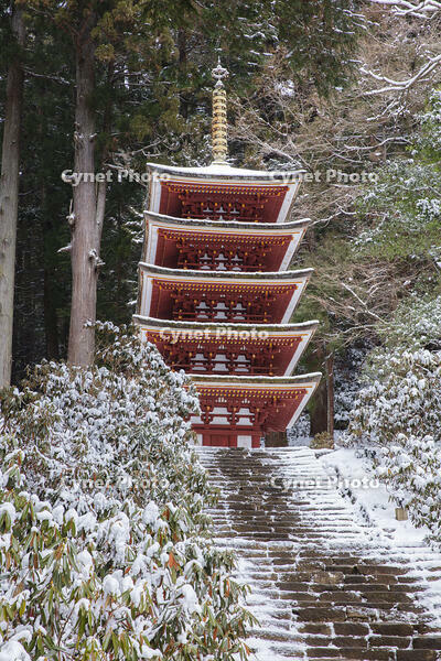 雪の五重塔　室生寺 [MOP110104382]