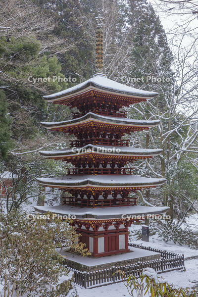 雪の五重塔　室生寺 [MOP110104385]