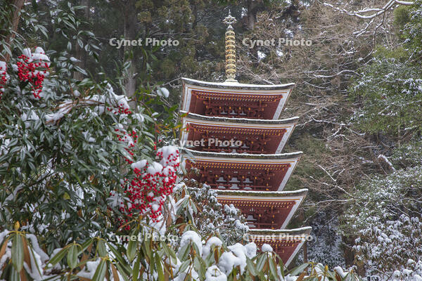 雪の五重塔　室生寺 [MOP110104386]