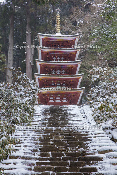 雪の五重塔　室生寺 [MOP110104388]