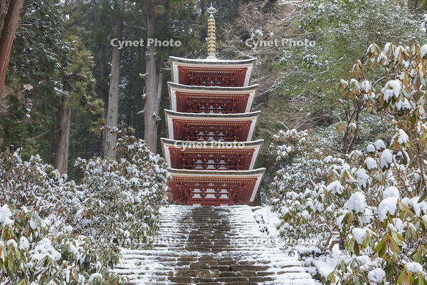 雪の五重塔　室生寺 [MOP110104389]