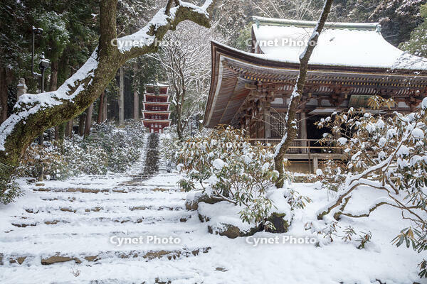 雪の本堂と五重塔　室生寺 [MOP110104390]