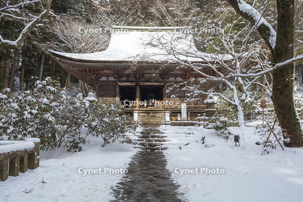 雪の本堂　室生寺 [MOP110104391]