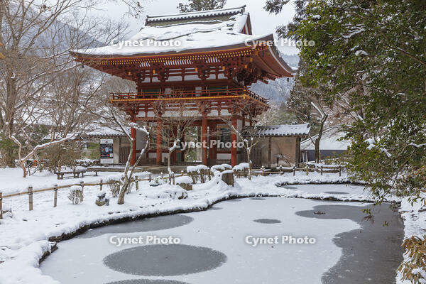 雪の仁王門　室生寺 [MOP110104393]