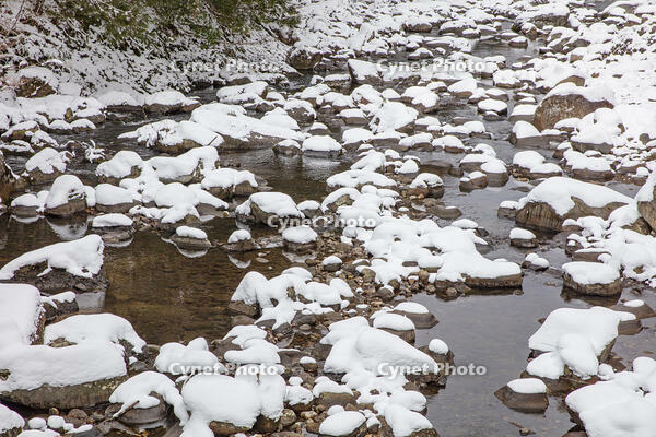 雪の室生川 [MOP110104395]