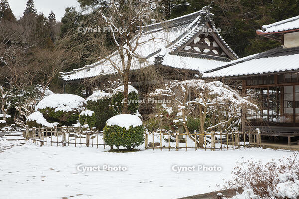 雪の大野寺 [MOP110104396]
