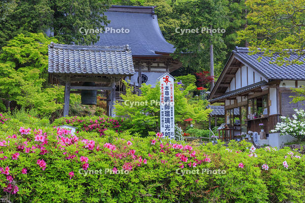 ツツジ咲く多田寺 [MOP110105723]