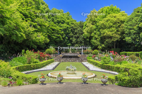 須磨離宮公園　　花の庭園 [MOP110105787]