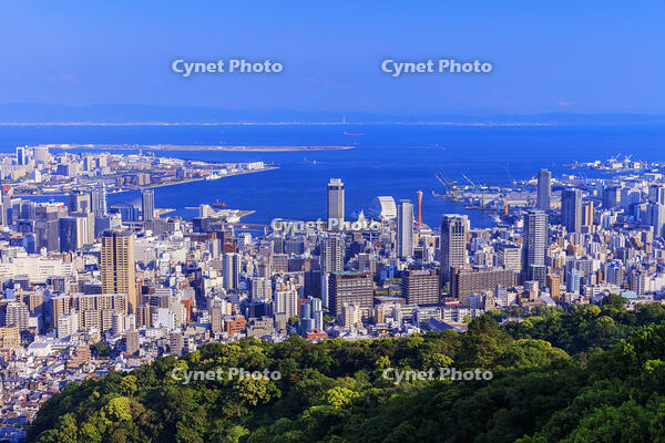 市章山より神戸市街と神戸港 [MOP110105791]