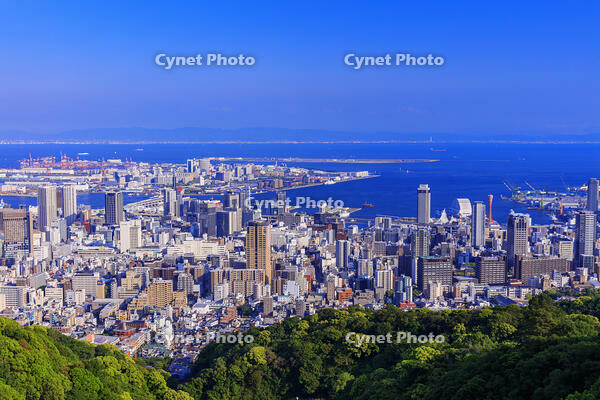 市章山より神戸市街と神戸港 [MOP110105792]