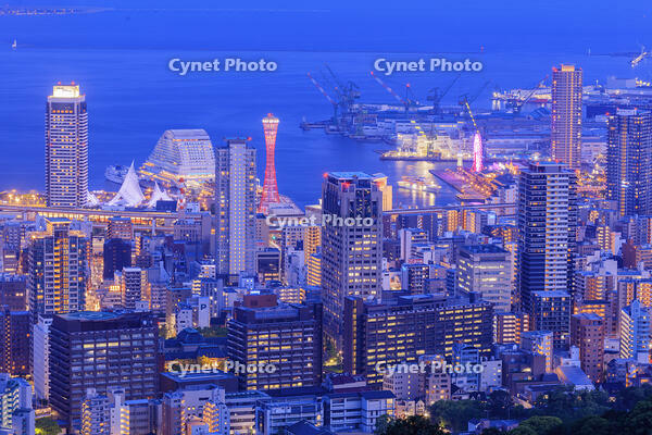 市章山より神戸市街と神戸港夜景 [MOP110105793]